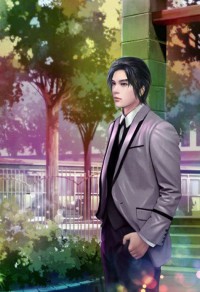 绝品医婿