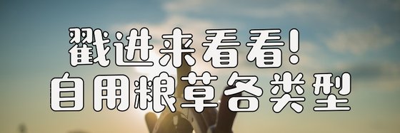 戳進來看看！自用糧草各型別